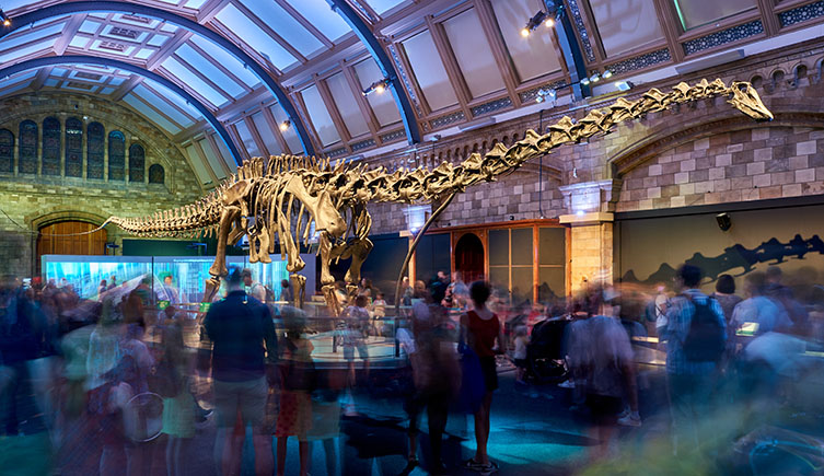 A photo of Dippy the dinosaur taken with a slow shutter speed so that all the visitors around it are blurred. 