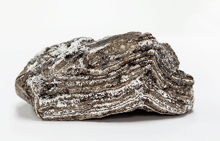 A chunk of ambergris made up of grey and white layers
