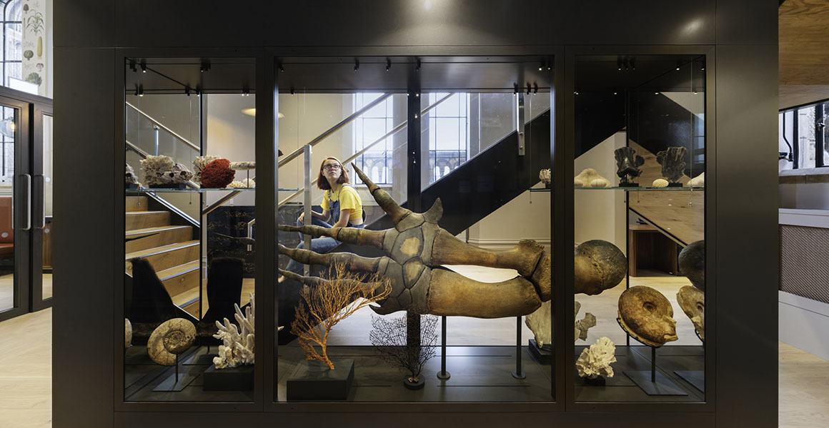 A photograph of a person seated on the staircase in the Anning Rooms. In front of the staircase is a large glass display case full of museum specimens.