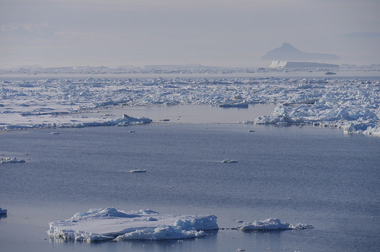 An expanse of ice, snow and ocean. Icebergs are just visible in the distance. 