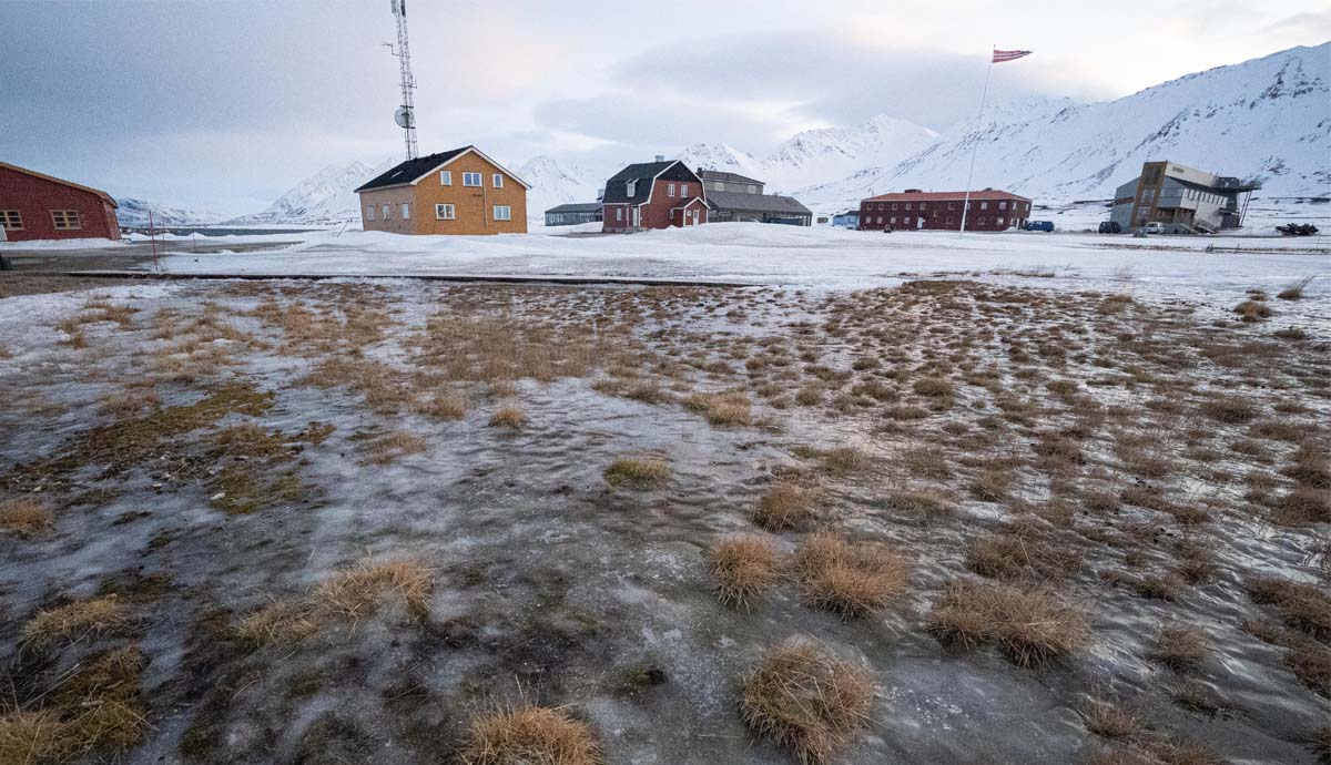 Grass sprouting above the frozen ground in the distance, we see buildings around Ny-Ålesund.