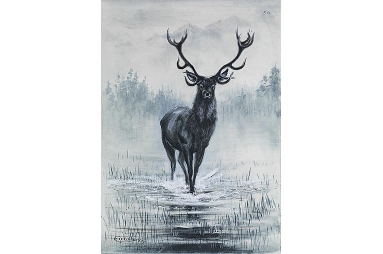 Red deer illustrated by Antarctic explorer Edward Wilson