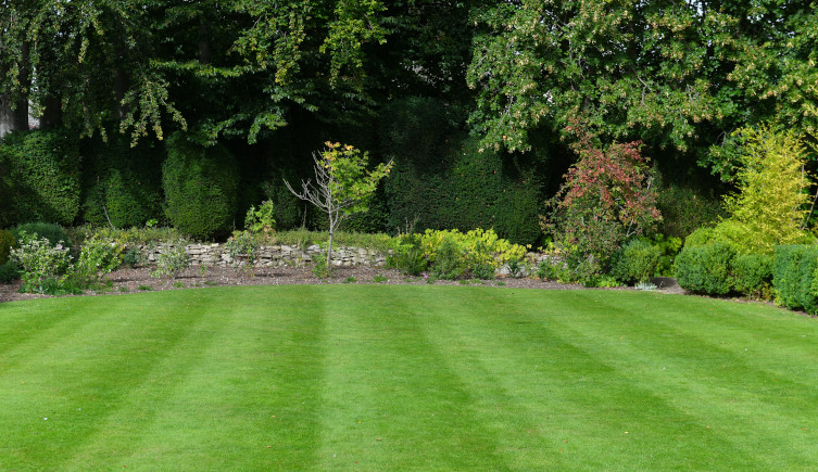 A recently mown lawn with trees and shrubs planted behind it