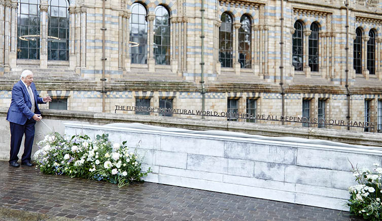 Sir David Attenborough stood outside the Museum next to his quote which reads: The future of the natural world, on which we all depend, is in your hands.