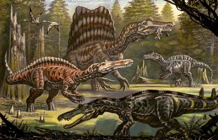 Illustration by Андрей Белов: A Bunch of Spinosaurs, although they lived in different places in different times here are a few living together, Baryonyx is the handsome fella in the front Along with Suchomimus behind him, Spinosaurus towering over all of them, and Irritator being irritating in the back.