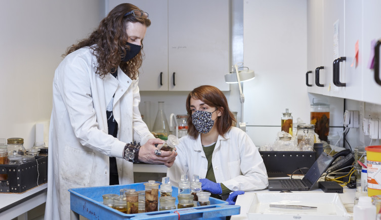 Senior mammal curator Roberto Portela Miguez and digitiser Phaedra Kokkini examine bats stored in spirit