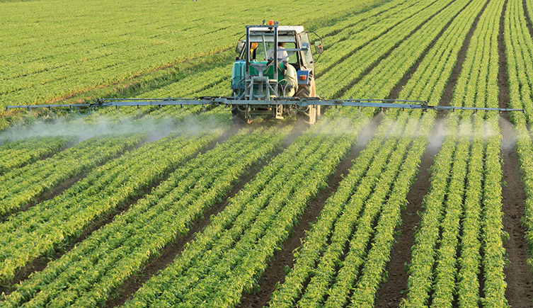 The sparying of pesticides on fields has been increasing over the years