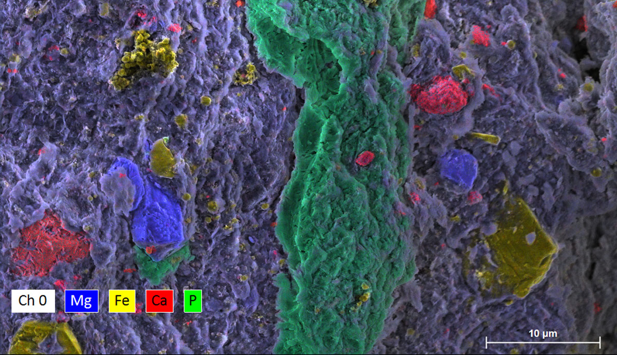 A microscopic image of the minerals with different colours highlighting different minerals in the sample
