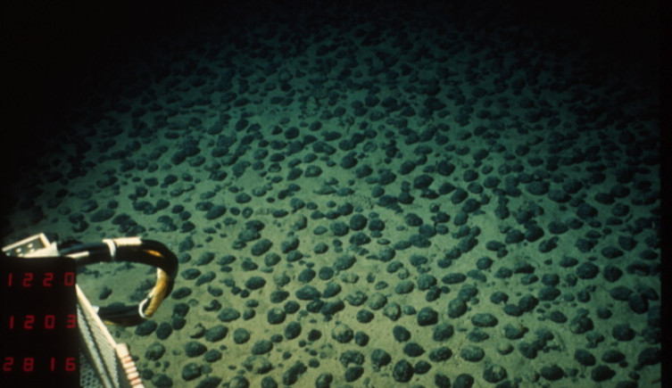 Polymetallic nodules on the seabed
