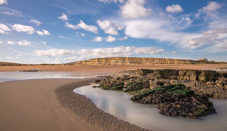 A rockpool on a beach sits in the foreground with yellow cliffs in the distance, sitting beneath a blue sky.