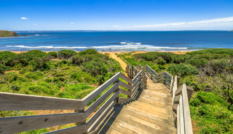 Wooden steps leading down through bushes to a beach
