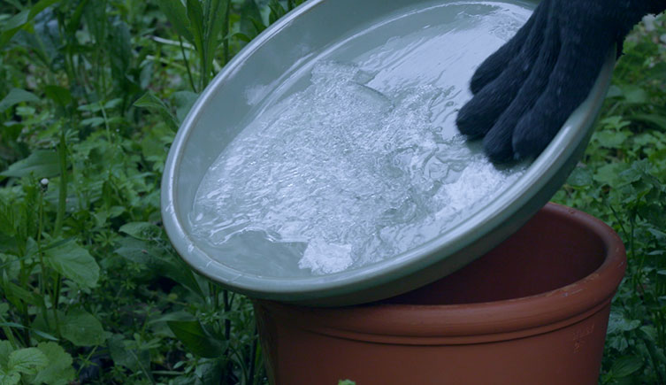 Ice being removed from a DIY bird bath