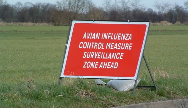 A sign warning of an avian influenza control measure surveillance zone