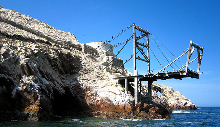 A wooden platform jutting out from a low, guano-covered cliff. 