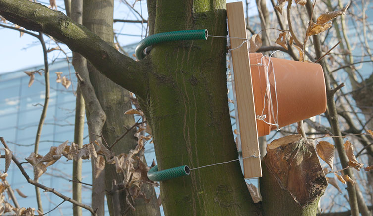 The finished bird nesting box attached to a tree