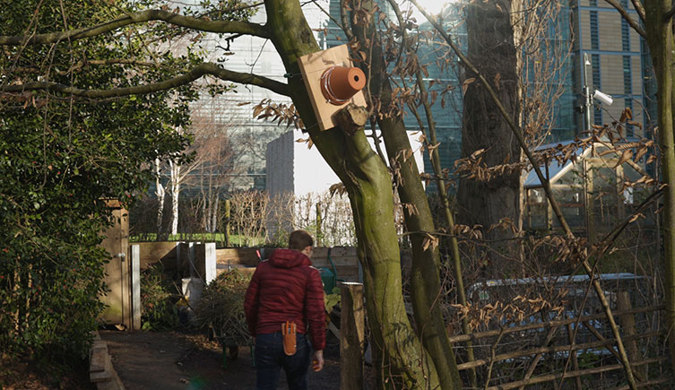 Our new bird box in the Museum's Wildlife Garden