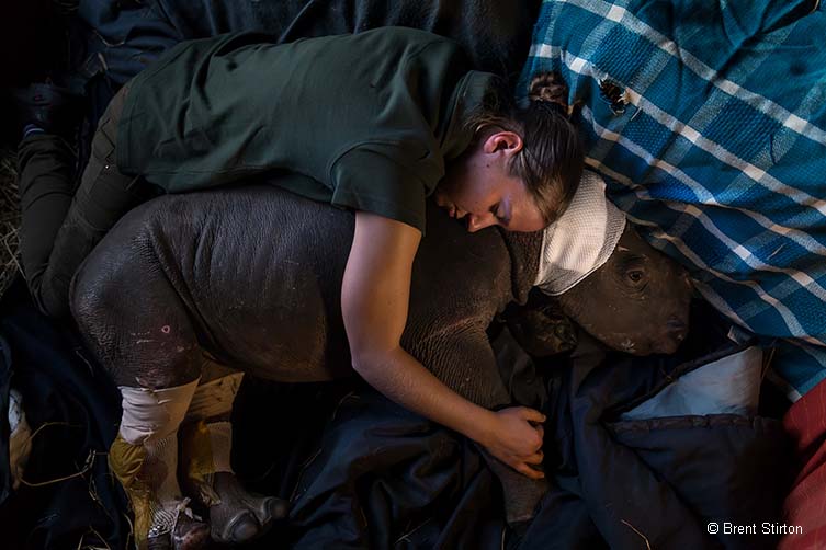Caring for Lulah © Brent Stirton
