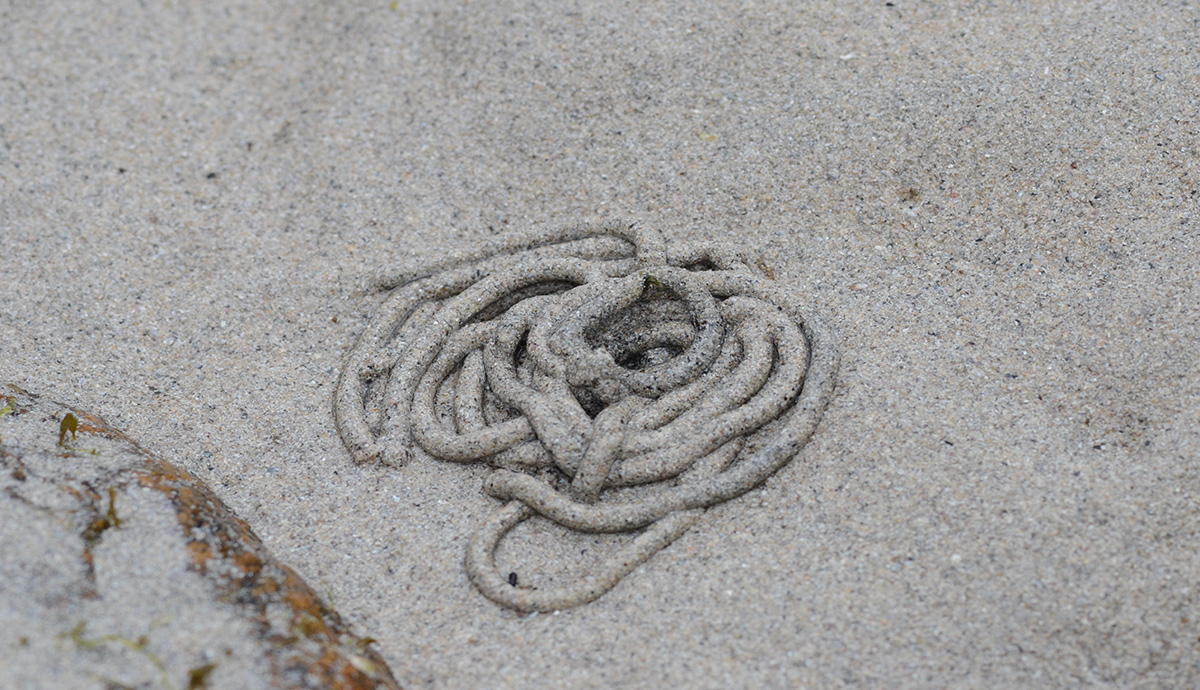 The cast of a lugworm on the sand