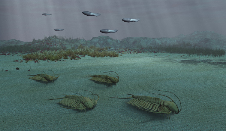 A 3D illustration of trilobites crawling across an undersea landscape