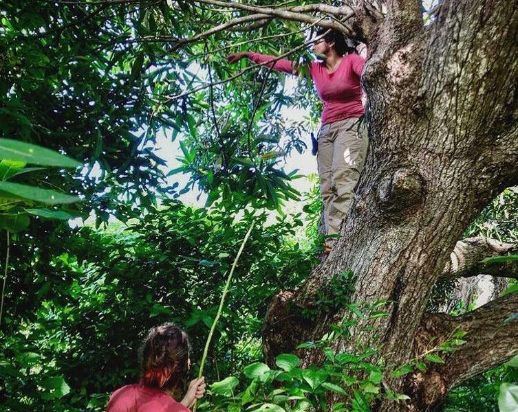 Ashwini stands on a tree and looks out.