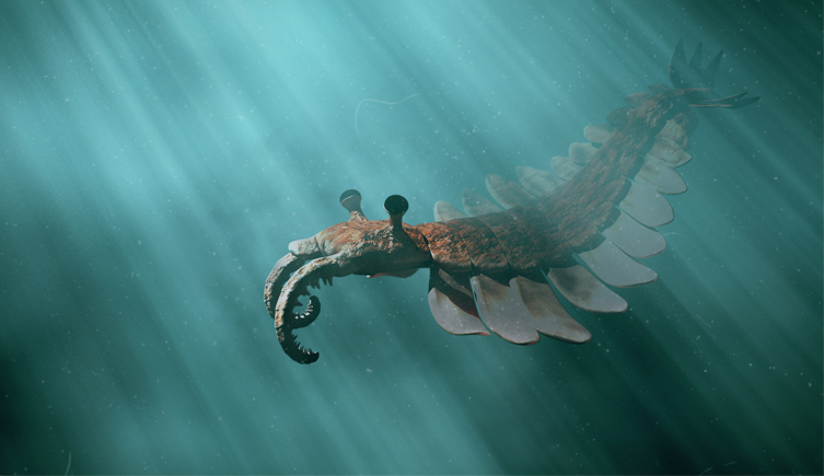 A 3D illustration of Anomalocaris 