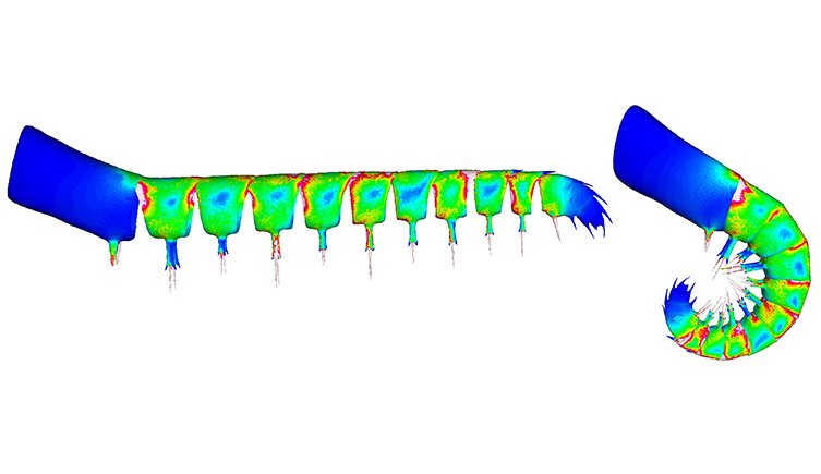 A computer model of an Anomalocaris limb showing the different stress points in different colours. 