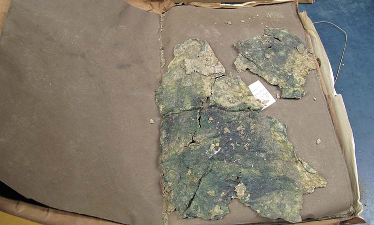 One of the cyanobacteria specimens collected on the McMurdo ice shelf 