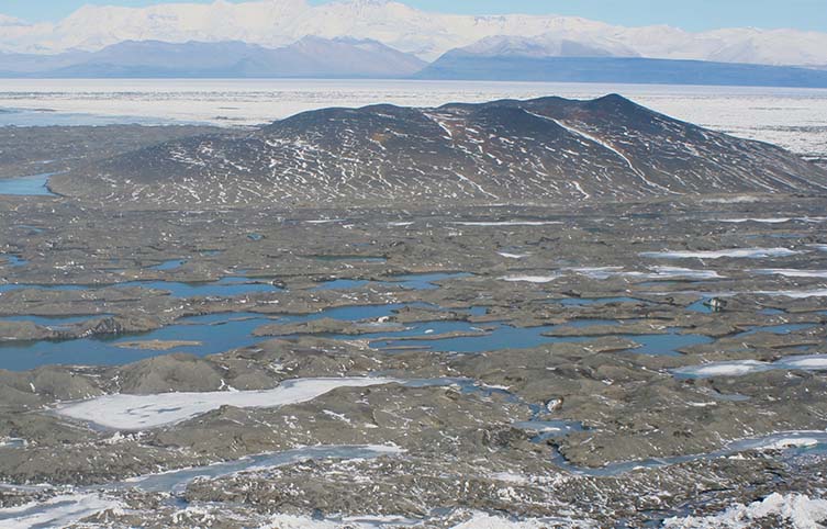 The McMurdo ice shelf in Antarctica, where some of the specimens were collected