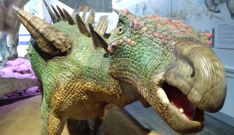 A reconstruction of Huayangosaurus