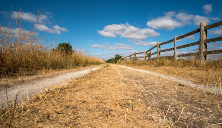 A long and dusty dry dirt road lined with fencing