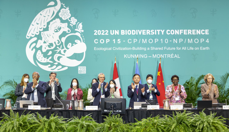 COP15 leaders applaud as the agreement is signed