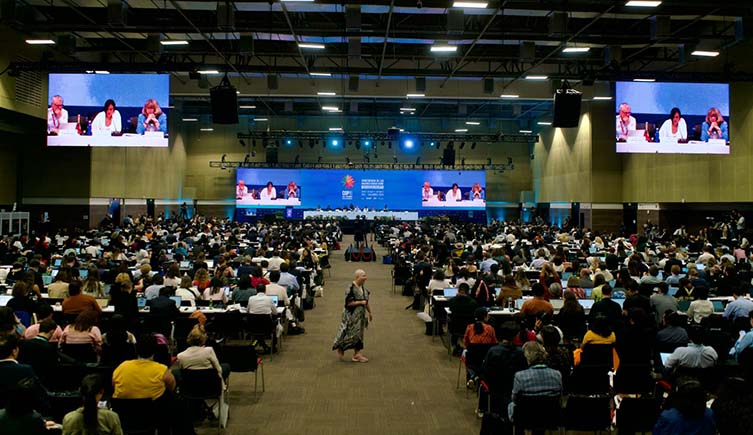 A photo of crowds of delegates in a plenary session at COP16.