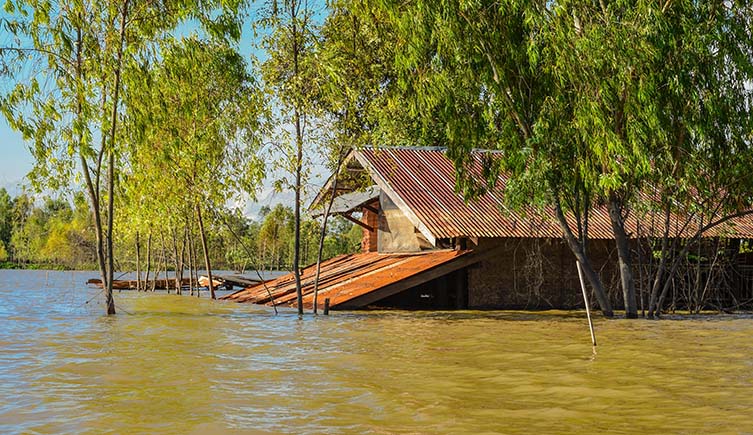 A wooden house between trees, partially submerged in water.