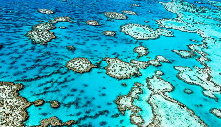 Aerial photo of a coral reef