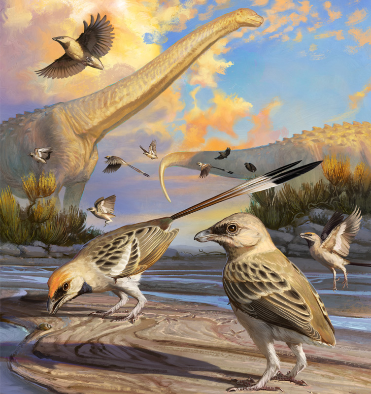 An illustration showing the environment Navaornis likely lived in. The lanscape has a small creek with two birds in the foreground, more birds flying in the background and two sauropod dinosaurs in the background.