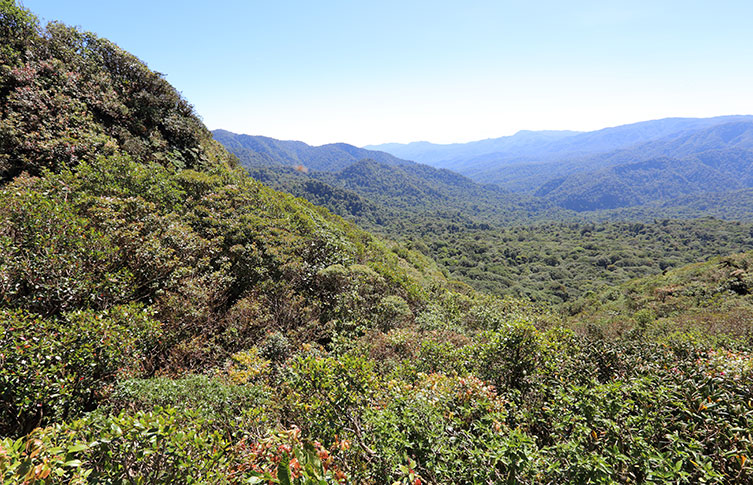 An aerial view of the Monteverde Cloud Forest Reserve