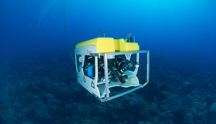 A yellow and grey remotely operated vehicle hovers above the seabed. 