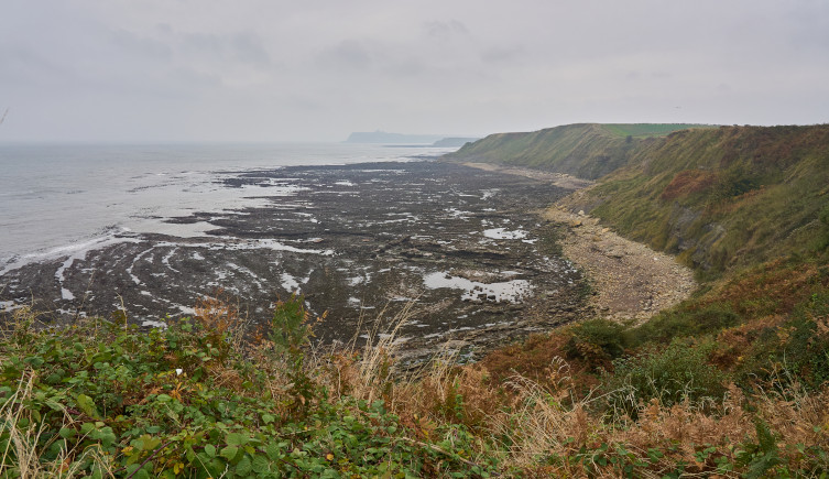 A view of Burniston Bay, Yorkshire, with a muddy intertidal zone between the shoreline and the sea.