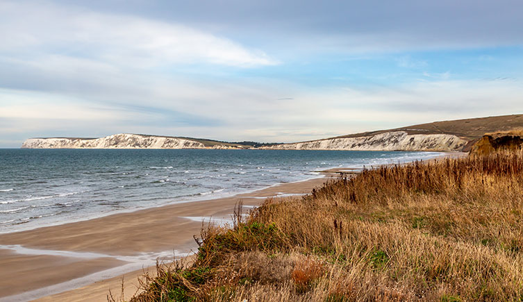 A view of the beach  at Compton Bay on the Isle of Wight. There are white chalk cliffs in the distance. 