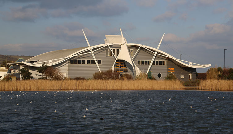 An exterior shot of Dinosaur Isle Museum from across a small lake.