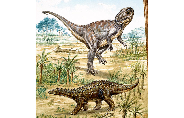 An illustration of a large predatory dinosaur and an armoured dinosaur in a prehistoric landscape.