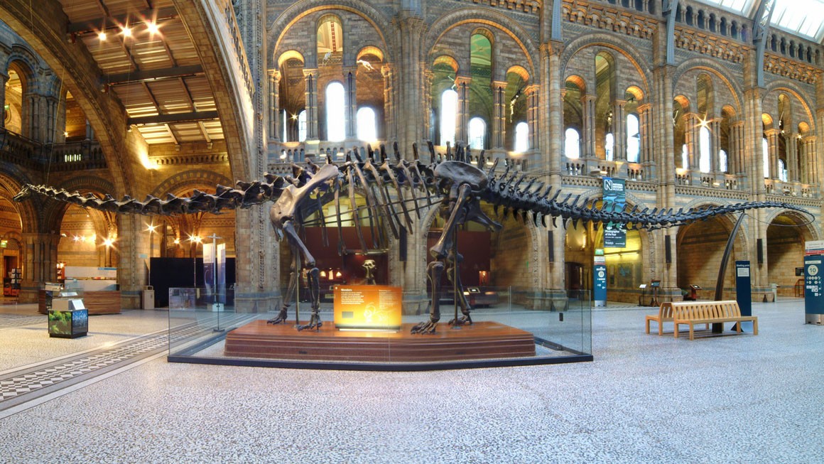 Diplodocus Cast