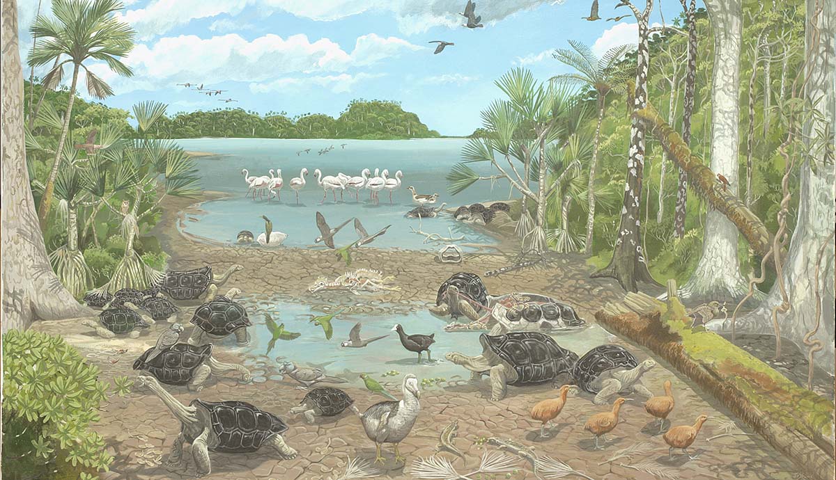 A painting of what Mauritius was once like, showing a lake surrounded by forest with giant tortoises, flamingos, dodos, rails and parakeets living on its margin. 