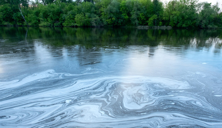White foam floats on the surface of a river with trees in the background