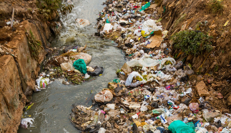 Rubbish piled along the edges of a stream