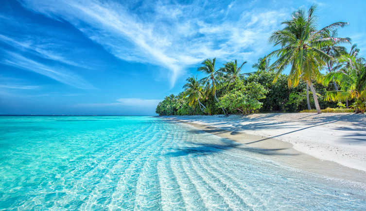 Waves lap the shore of a beach in the Maldives, with palm trees in the background