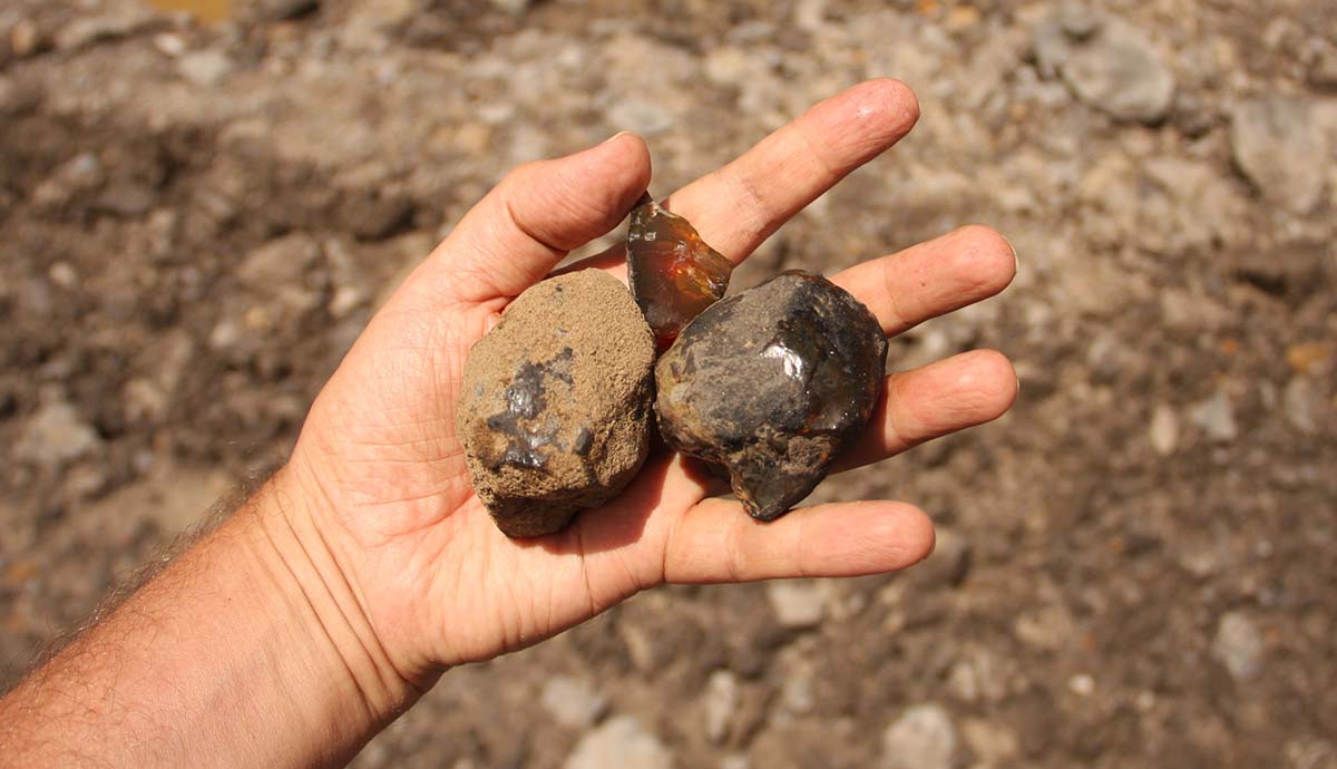 Three chunks of newly excavated amber held in a human hand.