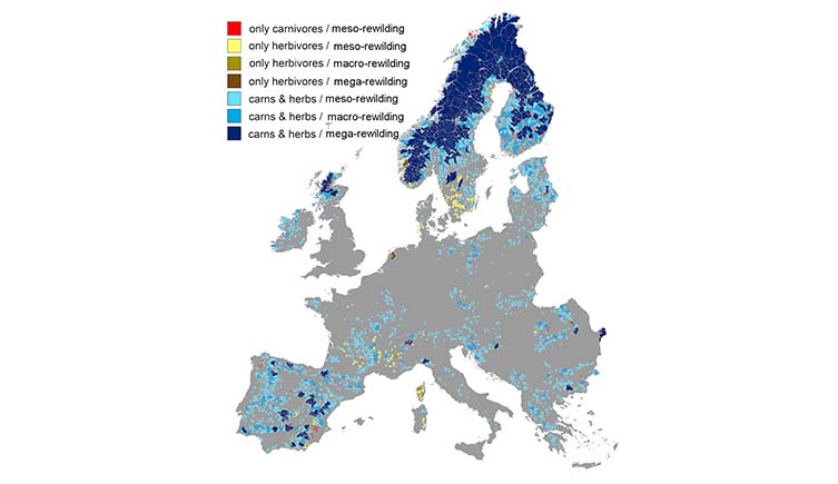 A map showing Europe with coloured areas representing different rewilding opportunities.