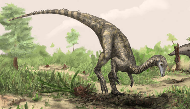 Reconstruction of the earliest known dinosaur. 