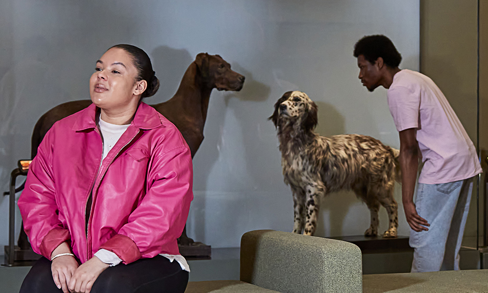 A woman on a pink coat sits in the exhibition space as a man in the back looks at the speciments of two dogs